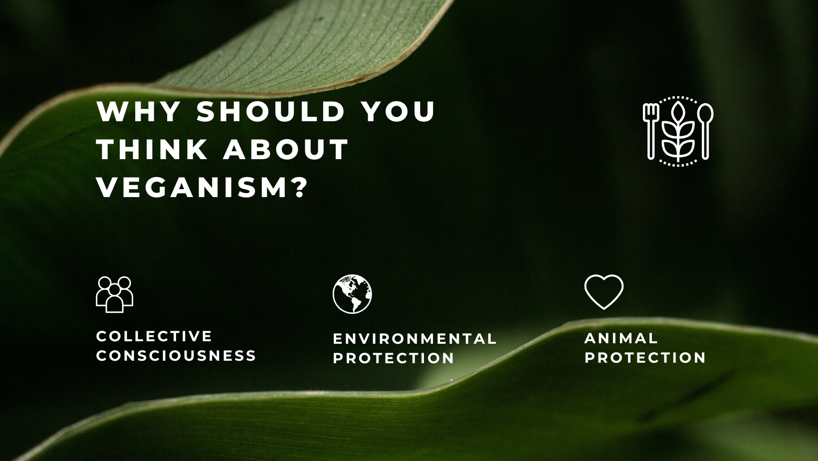 Banner content block